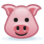 pig emoticon